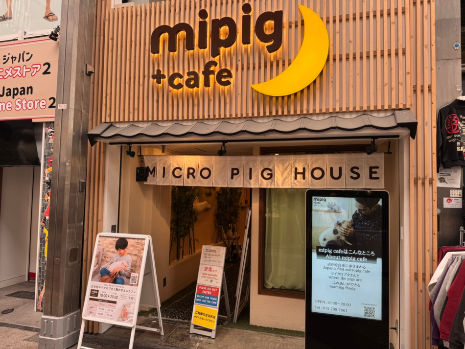 mipig cafe 京都店