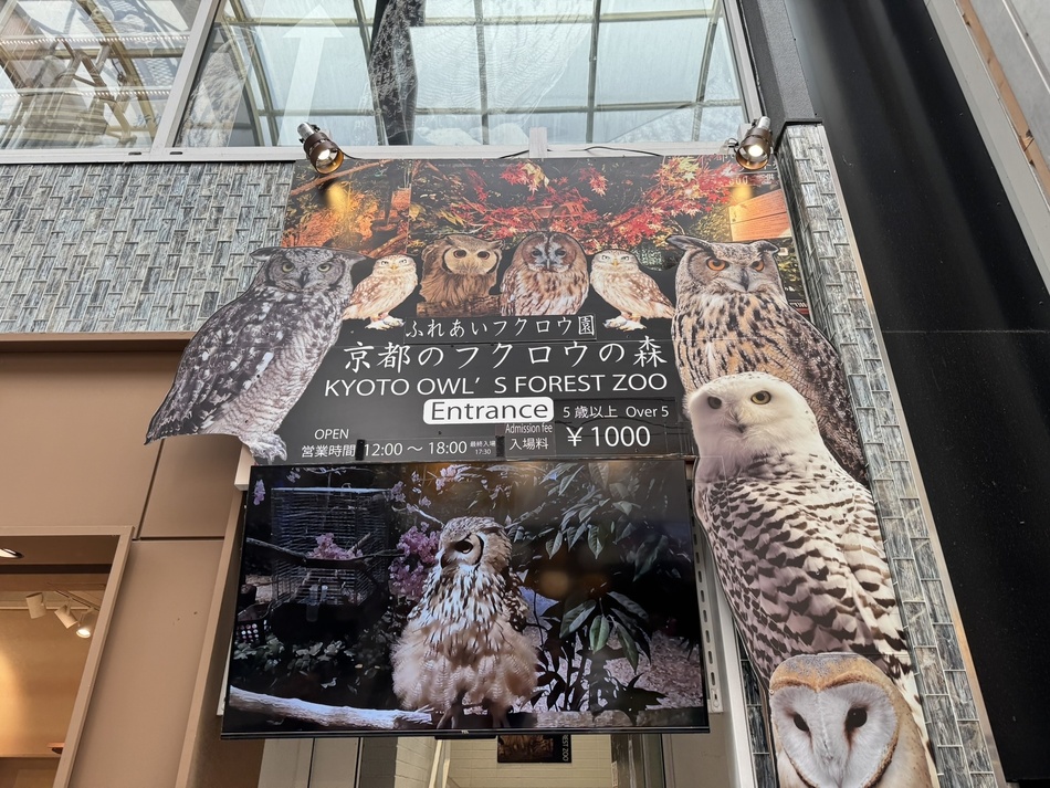 京都のフクロウの森