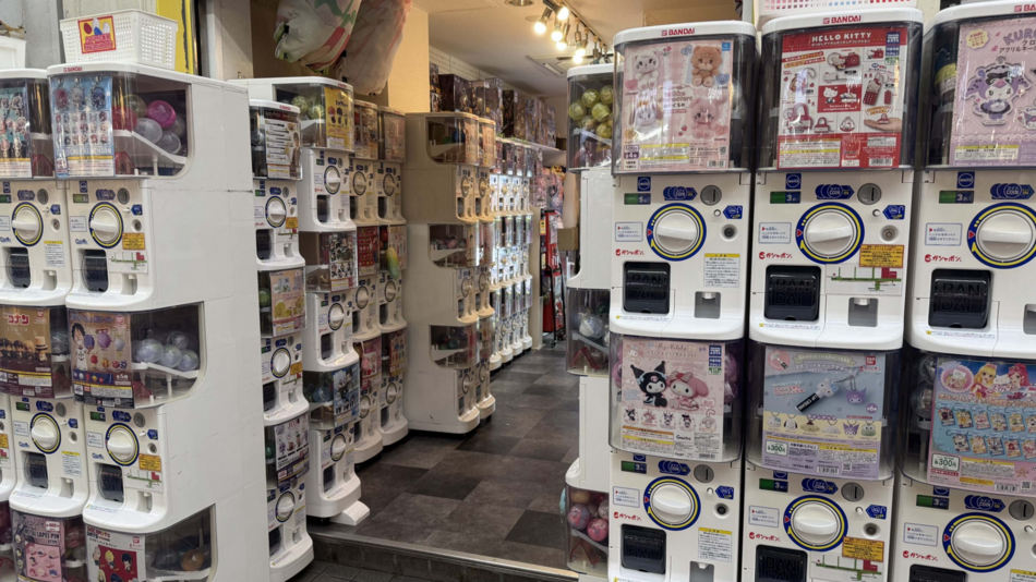 がちゃの杜　fleur2号店